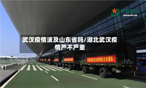 武汉疫情波及山东省吗/湖北武汉疫情严不严重-第1张图片
