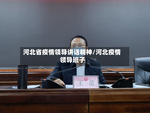 河北省疫情领导讲话精神/河北疫情 领导班子-第1张图片