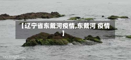【辽宁省东戴河疫情,东戴河 疫情】-第1张图片