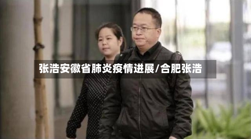 张浩安徽省肺炎疫情进展/合肥张浩-第1张图片