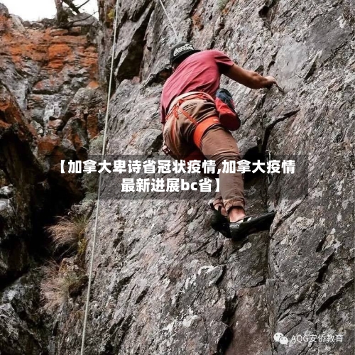 【加拿大卑诗省冠状疫情,加拿大疫情最新进展bc省】-第2张图片