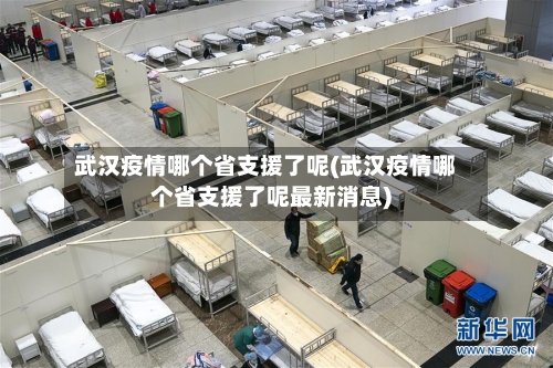 武汉疫情哪个省支援了呢(武汉疫情哪个省支援了呢最新消息)-第1张图片