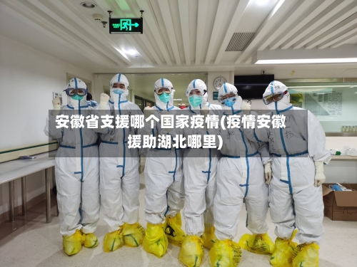 安徽省支援哪个国家疫情(疫情安徽援助湖北哪里)-第3张图片