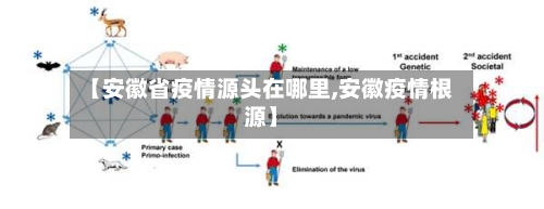 【安徽省疫情源头在哪里,安徽疫情根源】-第1张图片