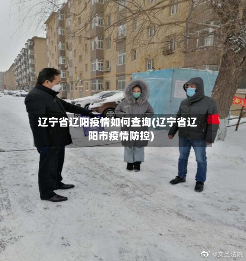 辽宁省辽阳疫情如何查询(辽宁省辽阳市疫情防控)-第1张图片