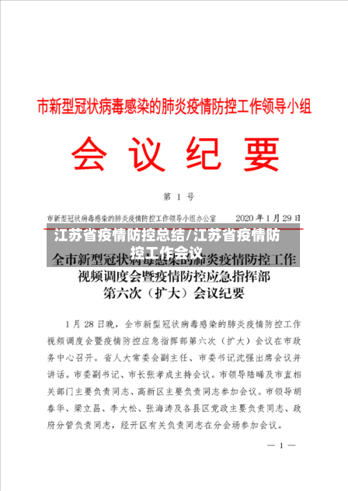江苏省疫情防控总结/江苏省疫情防控工作会议-第3张图片