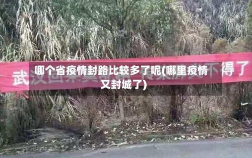 哪个省疫情封路比较多了呢(哪里疫情又封城了)-第1张图片