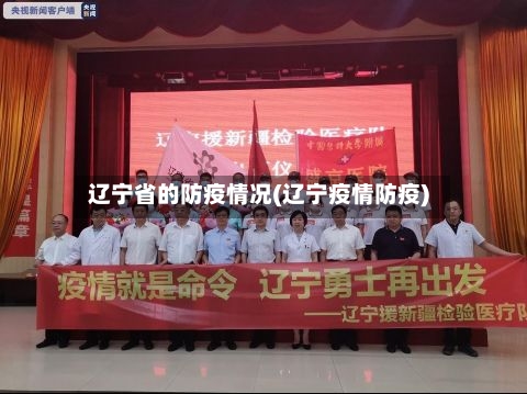 辽宁省的防疫情况(辽宁疫情防疫)-第1张图片