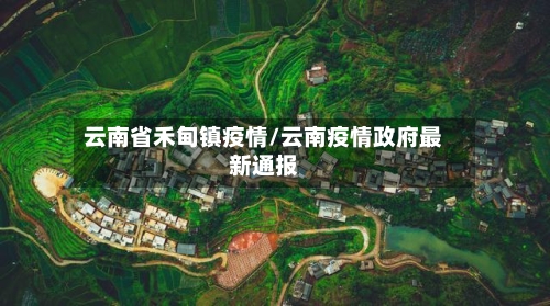 云南省禾甸镇疫情/云南疫情政府最新通报-第1张图片