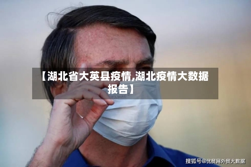 【湖北省大英县疫情,湖北疫情大数据报告】-第3张图片
