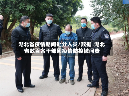 湖北省疫情期间处分人员/数据  湖北省数百名干部因疫情防控被问责-第1张图片