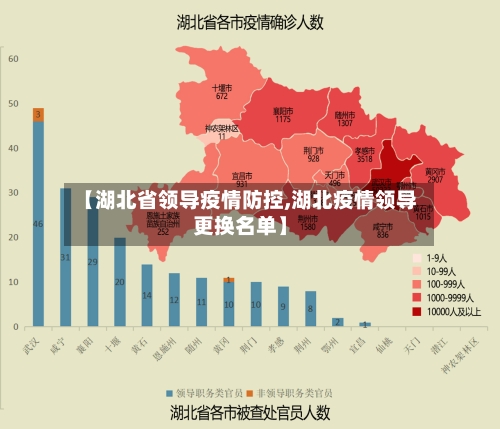 【湖北省领导疫情防控,湖北疫情领导更换名单】-第2张图片