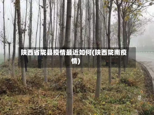 陕西省陇县疫情最近如何(陕西陇南疫情)-第1张图片