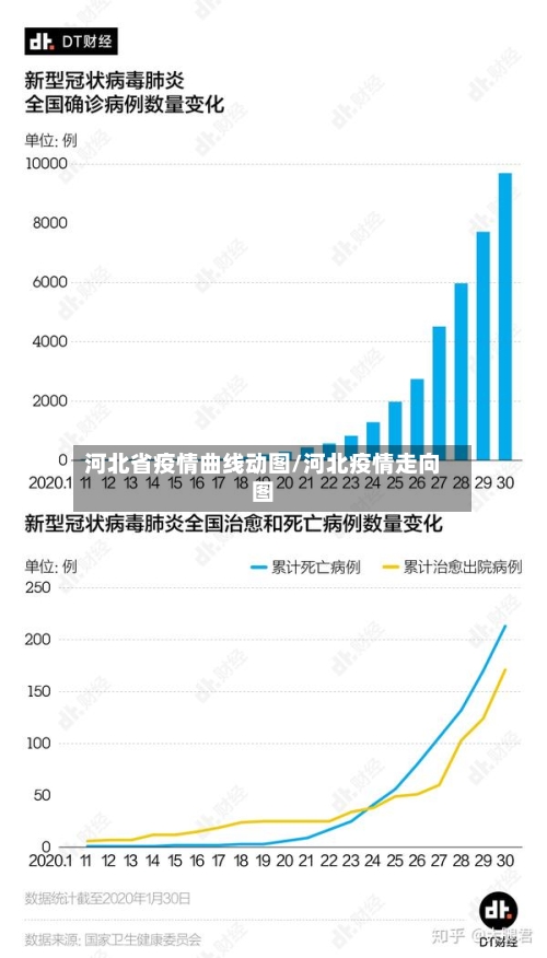 河北省疫情曲线动图/河北疫情走向图-第3张图片
