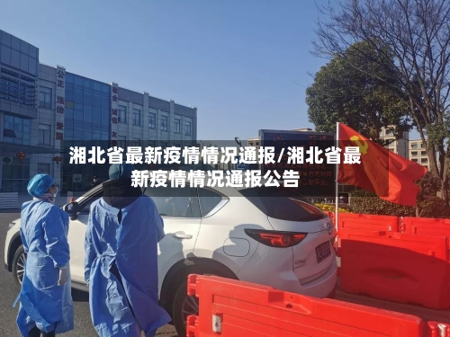 湘北省最新疫情情况通报/湘北省最新疫情情况通报公告-第1张图片