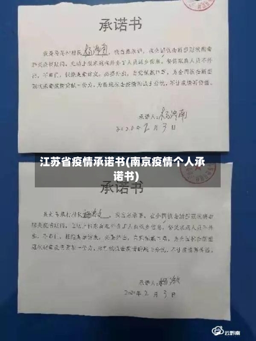 江苏省疫情承诺书(南京疫情个人承诺书)-第2张图片