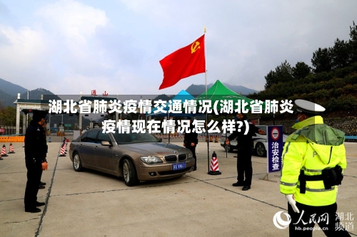 湖北省肺炎疫情交通情况(湖北省肺炎疫情现在情况怎么样?)-第1张图片