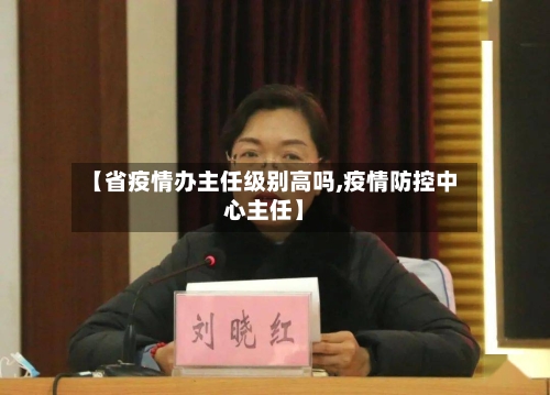 【省疫情办主任级别高吗,疫情防控中心主任】-第1张图片