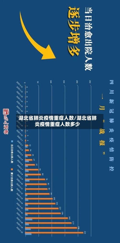 湖北省肺炎疫情重症人数/湖北省肺炎疫情重症人数多少-第3张图片