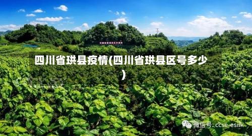 四川省珙县疫情(四川省珙县区号多少)-第2张图片