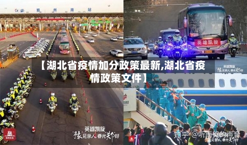 【湖北省疫情加分政策最新,湖北省疫情政策文件】-第2张图片