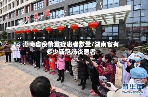 湖南省疫情重症患者数量/湖南省有多少新冠肺炎患者-第1张图片
