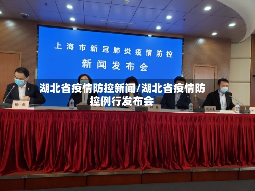 湖北省疫情防控新闻/湖北省疫情防控例行发布会-第1张图片