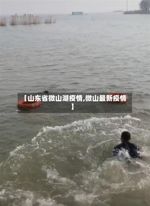 【山东省微山湖疫情,微山最新疫情】-第1张图片
