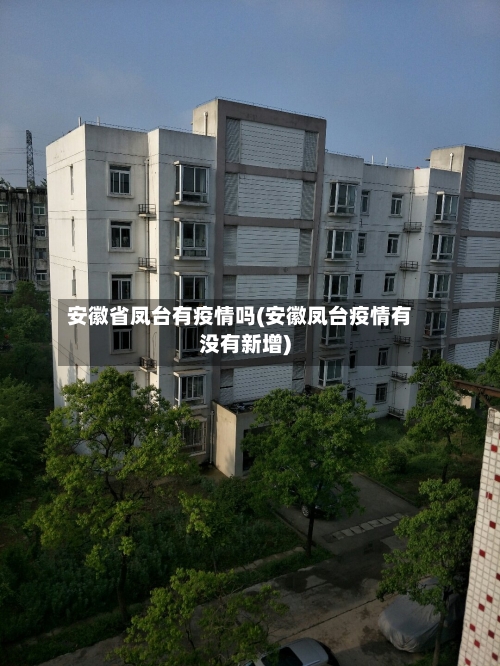 安徽省凤台有疫情吗(安徽凤台疫情有没有新增)-第3张图片