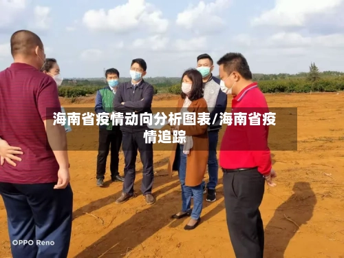 海南省疫情动向分析图表/海南省疫情追踪-第1张图片