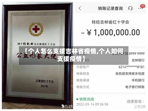 【个人怎么支援吉林省疫情,个人如何支援疫情】-第2张图片