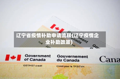 辽宁省疫情补助申请流程(辽宁疫情企业补助政策)-第1张图片