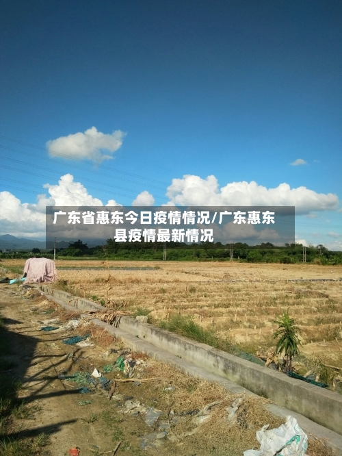 广东省惠东今日疫情情况/广东惠东县疫情最新情况-第1张图片