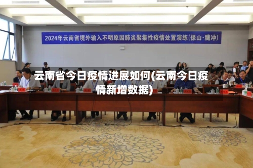 云南省今日疫情进展如何(云南今日疫情新增数据)-第3张图片