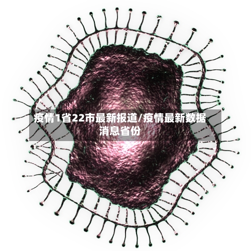 疫情1省22市最新报道/疫情最新数据消息省份-第1张图片