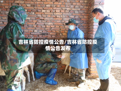 吉林省防控疫情公告/吉林省防控疫情公告发布-第3张图片