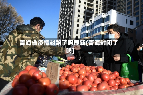 青海省疫情封路了吗最新(青海封闭了吗)-第2张图片