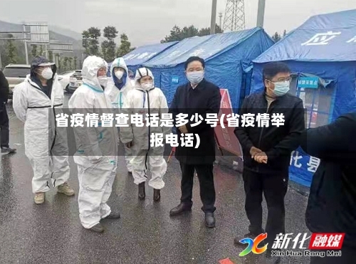 省疫情督查电话是多少号(省疫情举报电话)-第2张图片