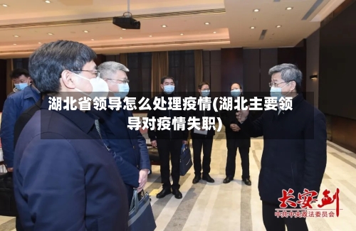 湖北省领导怎么处理疫情(湖北主要领导对疫情失职)-第1张图片