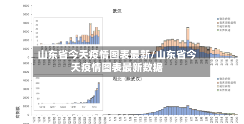 山东省今天疫情图表最新/山东省今天疫情图表最新数据-第2张图片