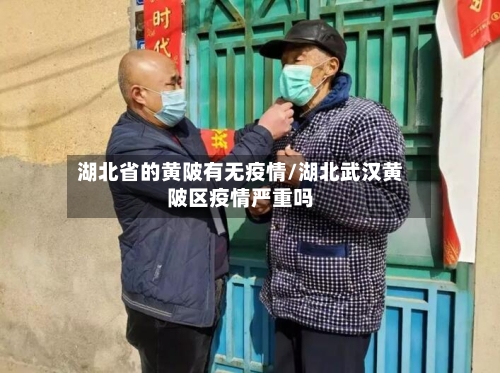 湖北省的黄陂有无疫情/湖北武汉黄陂区疫情严重吗-第2张图片