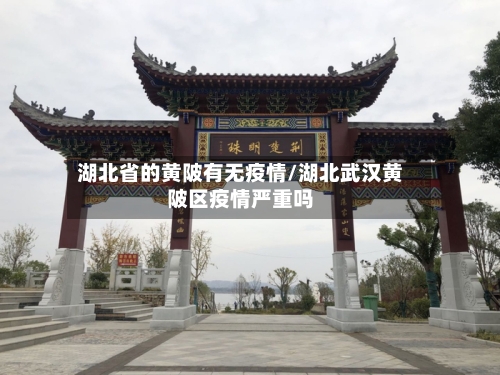 湖北省的黄陂有无疫情/湖北武汉黄陂区疫情严重吗-第1张图片