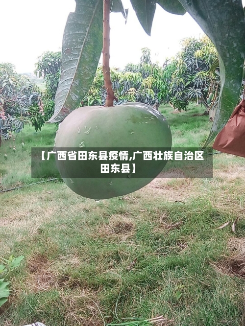 【广西省田东县疫情,广西壮族自治区田东县】-第2张图片