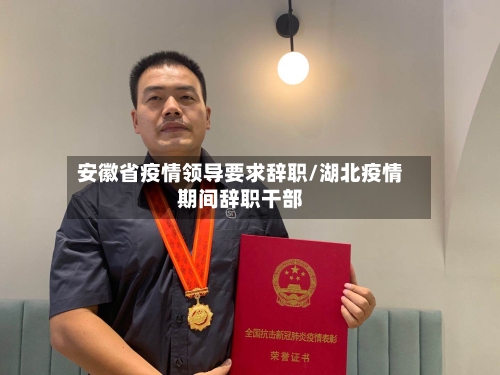 安徽省疫情领导要求辞职/湖北疫情期间辞职干部-第3张图片