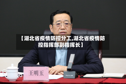 【湖北省疫情防控分工,湖北省疫情防控指挥部副指挥长】-第1张图片