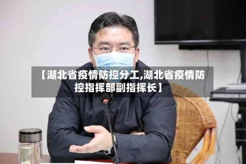 【湖北省疫情防控分工,湖北省疫情防控指挥部副指挥长】-第2张图片
