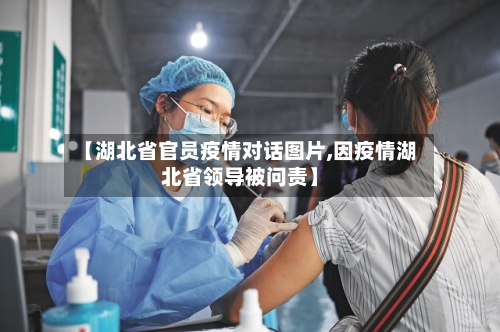 【湖北省官员疫情对话图片,因疫情湖北省领导被问责】-第1张图片