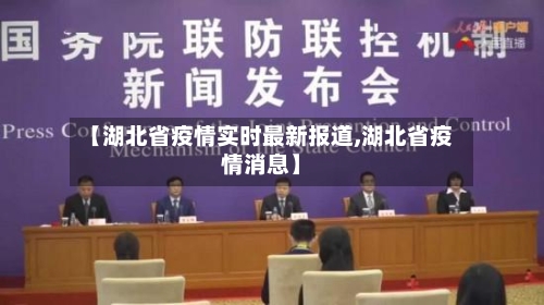 【湖北省疫情实时最新报道,湖北省疫情消息】-第2张图片