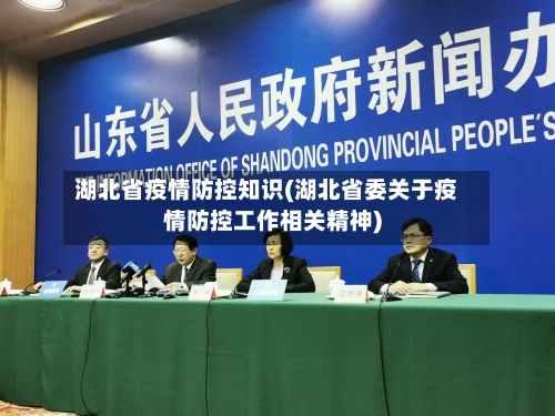湖北省疫情防控知识(湖北省委关于疫情防控工作相关精神)-第2张图片
