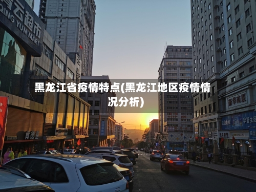 黑龙江省疫情特点(黑龙江地区疫情情况分析)-第1张图片